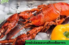 Aneka Masakan Lobster Bagi Pencinta Seafood